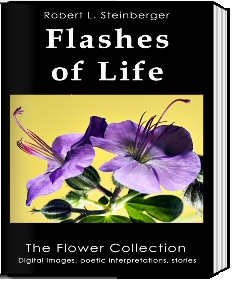 Flashes of Life, book cover