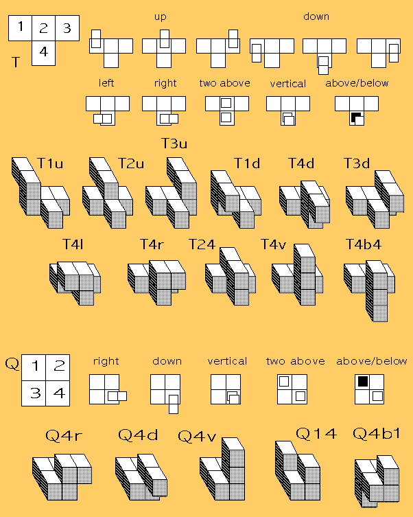 Tetromino-based hexacubes of family T, showing their shapes with names