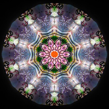 Interior view of a new Karadimos scope