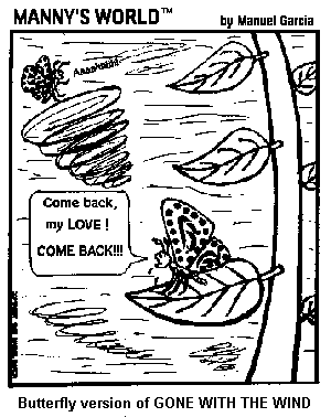 Butterfly Gone